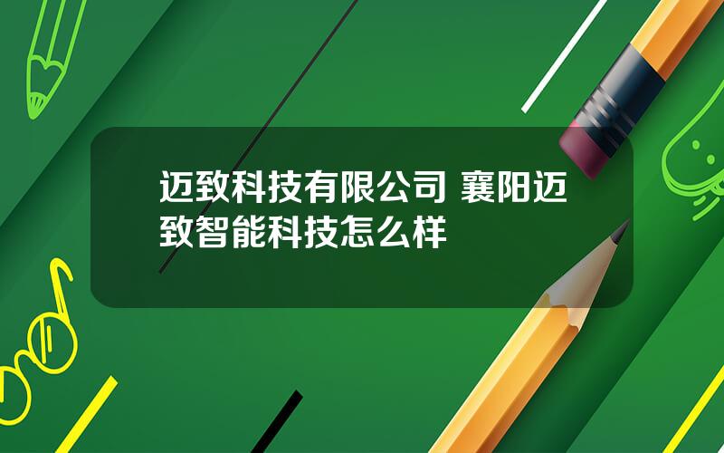 迈致科技有限公司 襄阳迈致智能科技怎么样